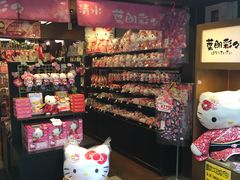 -有栖山 清光院 清水寺
