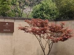 -和顺柏联温泉