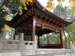-汇龙潭