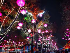 -大雁塔北广场音乐喷泉
