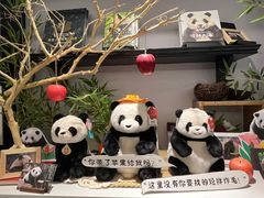 -轩客会(熊猫书店)