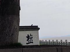 -观潮胜地公园