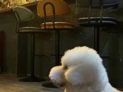 -后院儿·精酿·塔罗Happy Bar