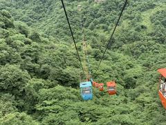 -青城山