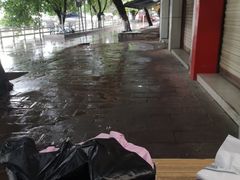 -平安桥张氏肥肠粉