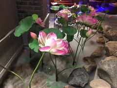 -小龙坎老火锅(红旗街店)