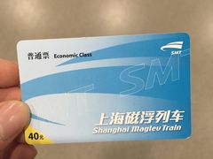 -龙阳路磁悬浮列车总站-停车场