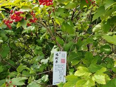 -翠湖国家城市湿地公园