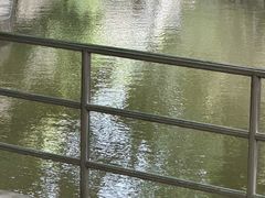 -中山市树木园