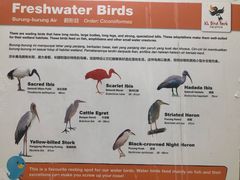 -吉隆坡雀鸟公园