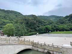 -阳台山森林公园