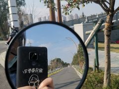 -三垟湿地