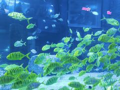 -正佳极地海洋世界