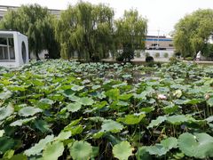 -费孝通江村纪念馆