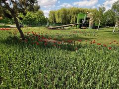 -长春公园(普阳街道)