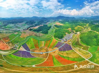 走进景德镇高岭·中国村景区的茶海花海