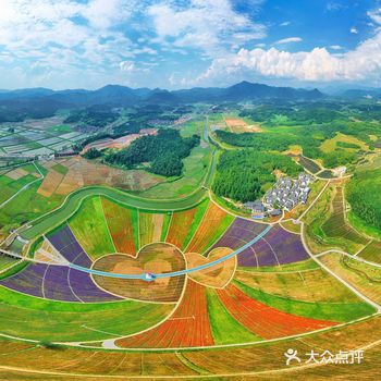 走进景德镇高岭·中国村景区的茶海花海