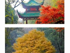 -岳麓山风景名胜区
