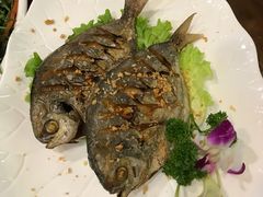 -荷花泰菜(东方新天地店)