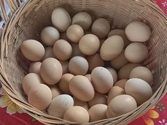 -马陆小张葡萄园农家乐