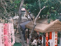 -十亩森林