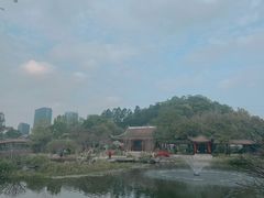 -顺峰山公园