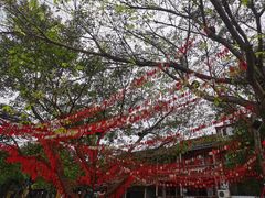 -黄龙溪古镇
