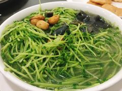上汤豆苗-蚝专家(北滘店)