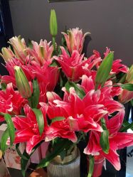 点击看大图 -OCEAN DANCE高空舞蹈室