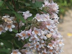 -北京植物园-展览温室