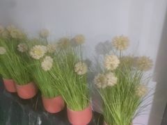 -唐宫足道·SPA·住宿24H会所(木渎店)