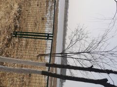 -绿堤公园