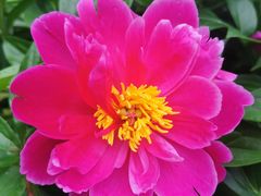 -长春公园(普阳街道)