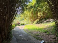 -张坝桂圆林公园