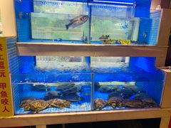 -王捌小院(红花坡店)