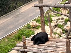 -大连森林动物园