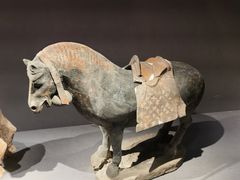 -大同市博物馆