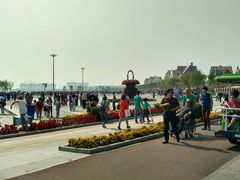 -武清南湖绿博园