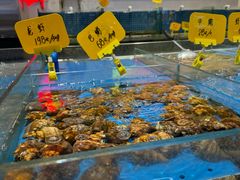 -黑石礁酒楼·海鲜(黑石礁店)