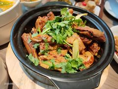 姜母鸭-四道菜·福建菜馆(新街口金鹰店)