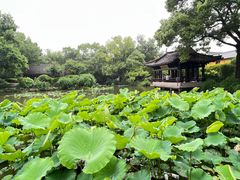 -绍兴鲁迅故里·沈园景区