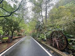 -长谷洞天