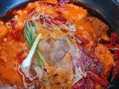 -小志家.鲜牦牛肉牛杂火锅野生菌汤锅