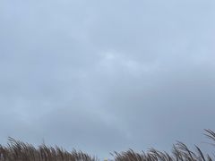 -浙西天池-售票处