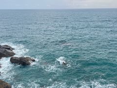 -广东惠东海龟国家级自然保护区