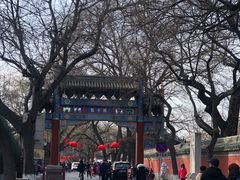 -北京国子监胡同