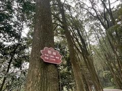 -缙云山景区
