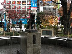 -涩谷区
