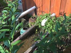-谷咖啡·鲜花绿植花园餐厅