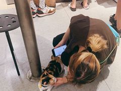 -甜心闲生传统手工冰粉(太古里店)